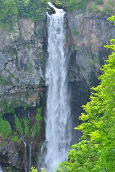 DSC_3971 (Large).JPG